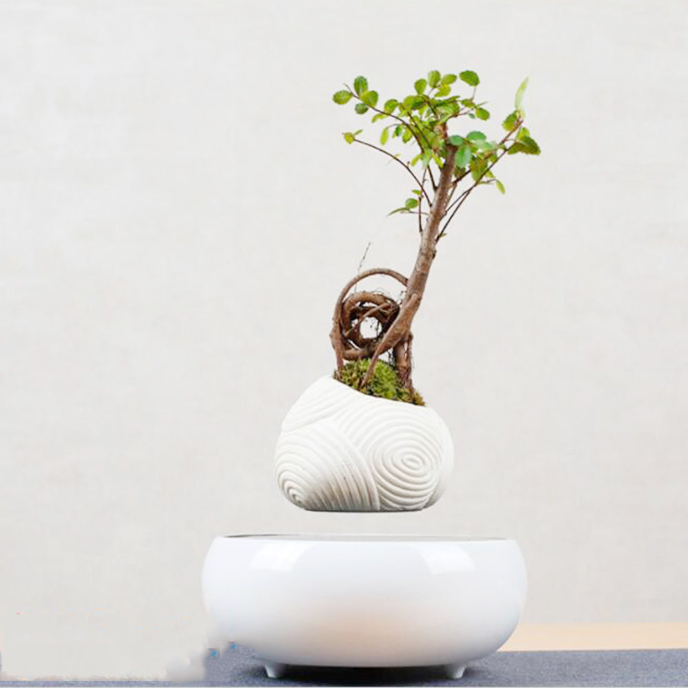 Magnetic Levitation Potted Plants - Echo Essence