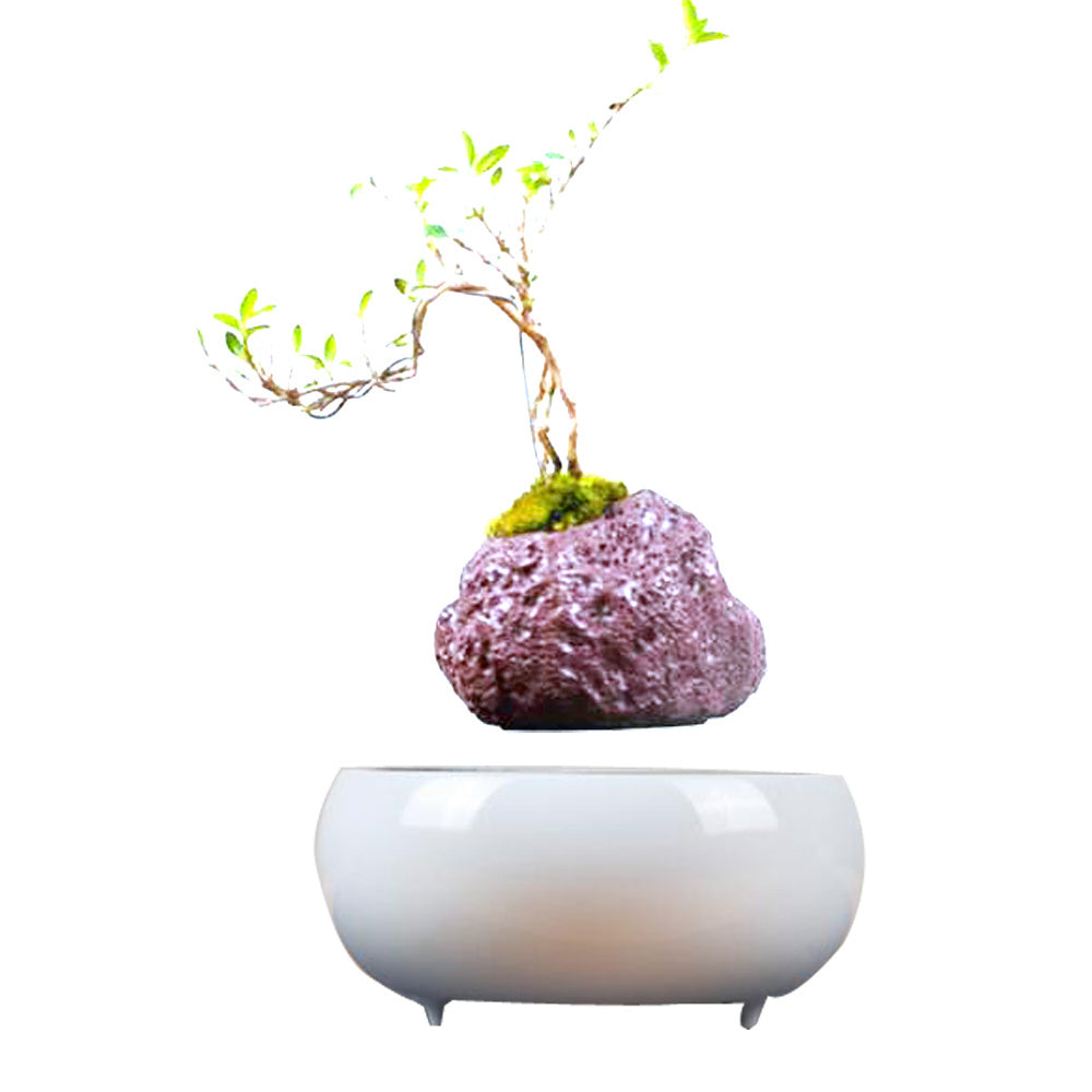 Magnetic Levitation Potted Plants - Echo Essence