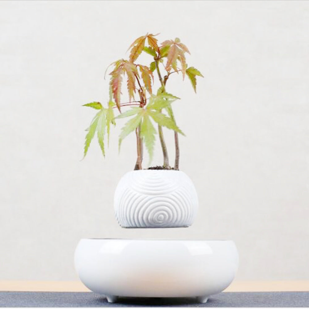 Magnetic Levitation Potted Plants - Echo Essence