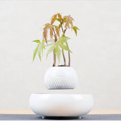 Magnetic Levitation Potted Plants - Echo Essence