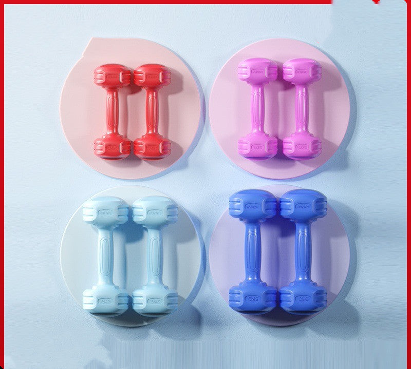 A Pair Of Home Fitness Equipment Women Dumbbells - Echo Essence